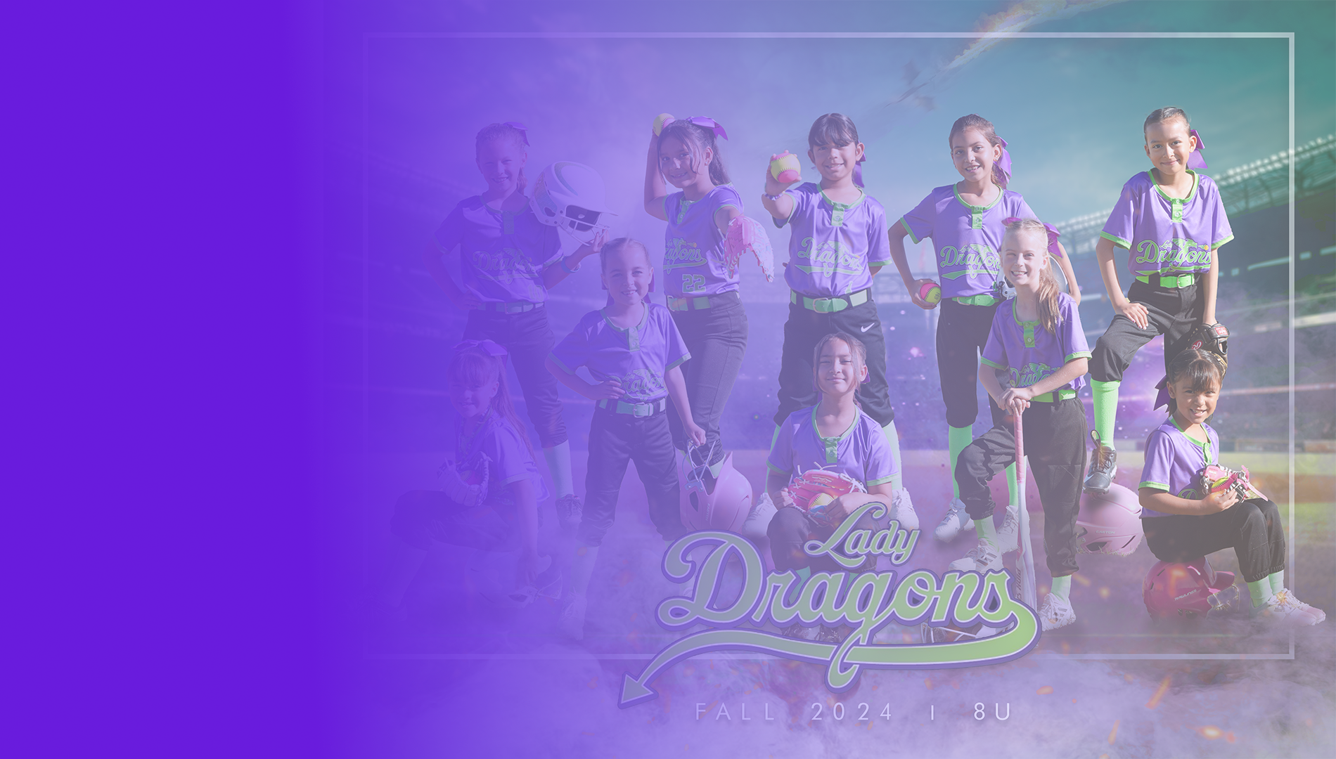 Lady Dragons banner
